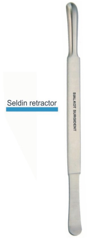 Text