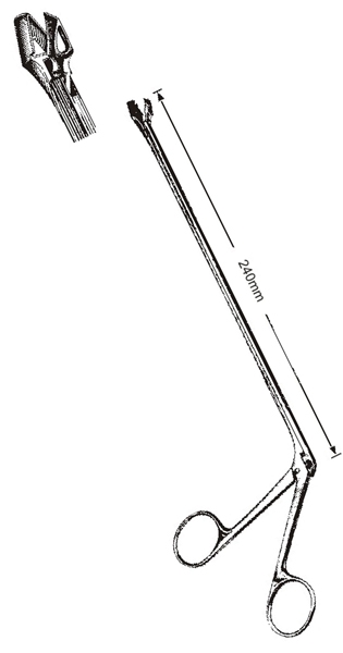 Text