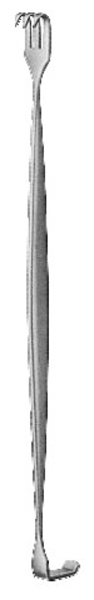 Text
