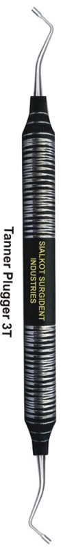 Text