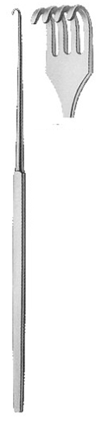 Text