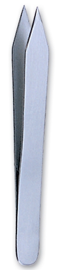 Text