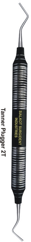 Text